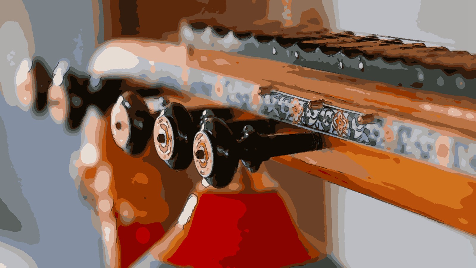 Bobbili Veena: Andhra Pradesh's musical treasure