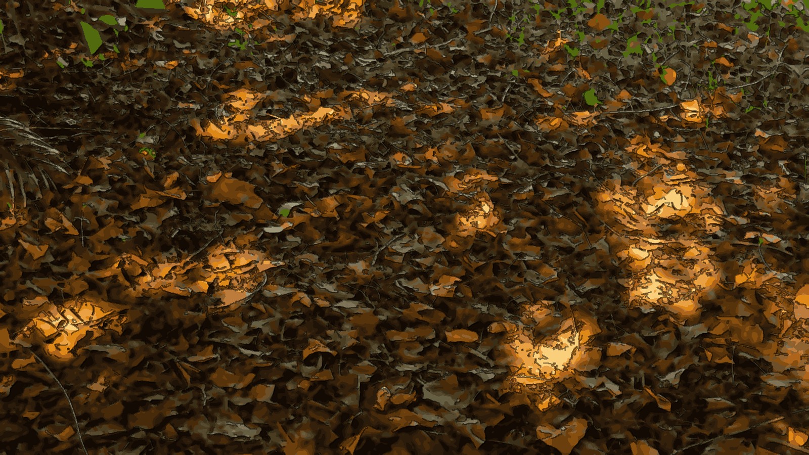 Adyar Eco Park