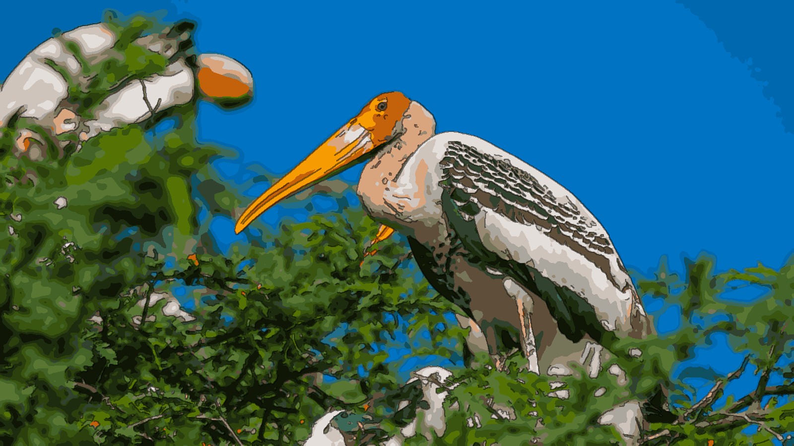 Koonthankulam Bird Sanctuary