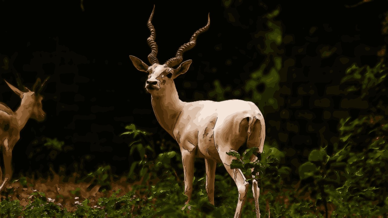 A Picturesque Escape To Ranchi