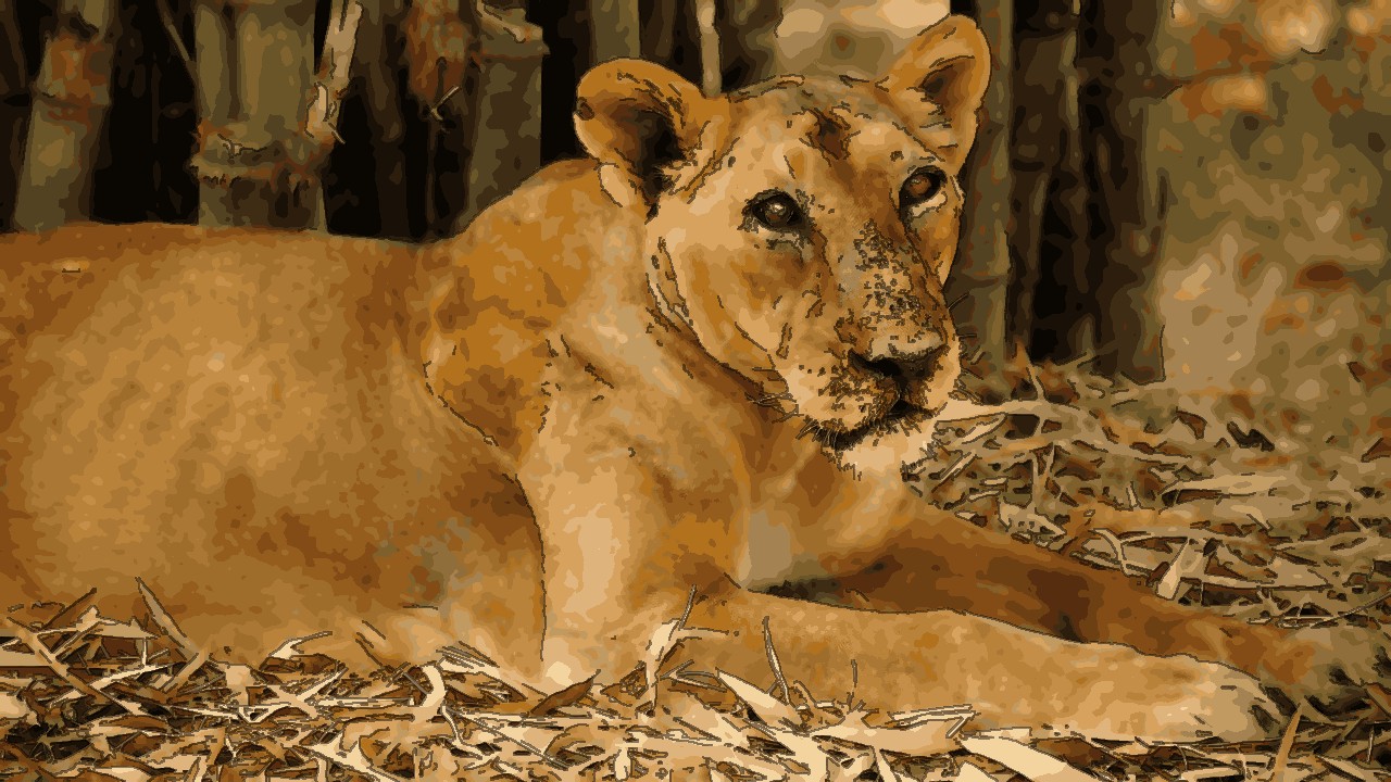 An Unforgettable 4 Day Silvassa Sojourn
