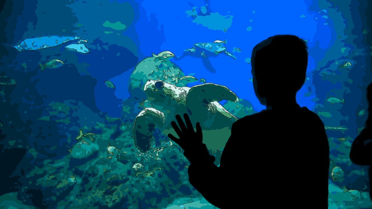 Coral Kingdoms And Coastal Caresses A Kavaratti Journey